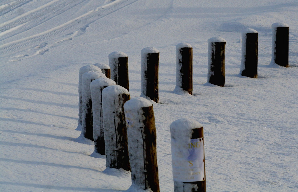 bollards definition
